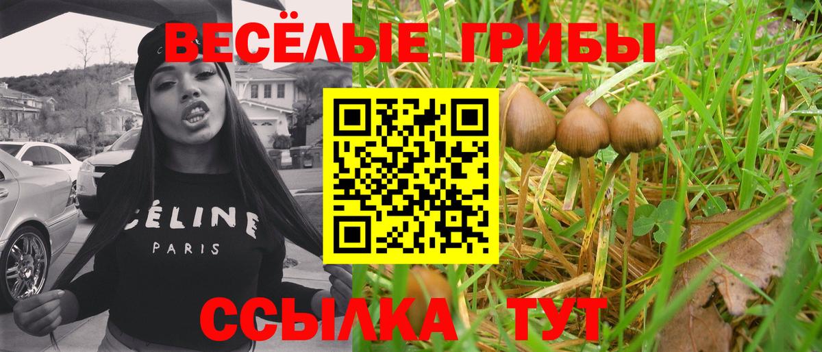Холмск  Галлюциногенные грибы Cubensis  цены наркотик  Вход с VPN 